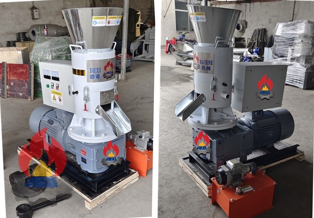 Loading SKJ2-300B Wood Pellet Machine to French Customer