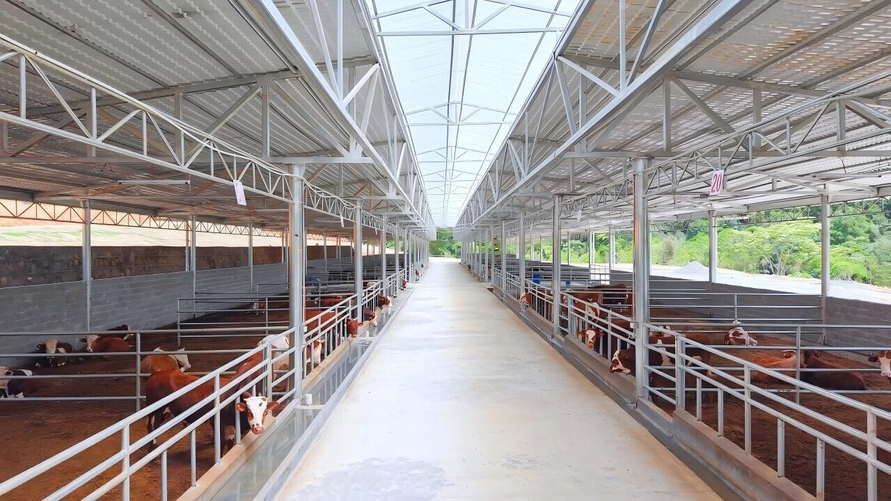 Livestock steel structure