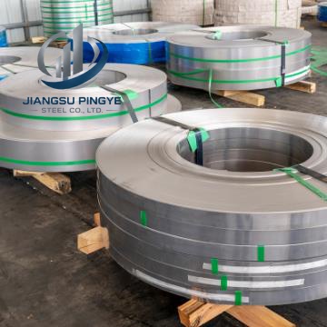 310 Stainless Strip