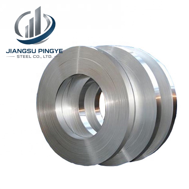 310 Stainless Strip