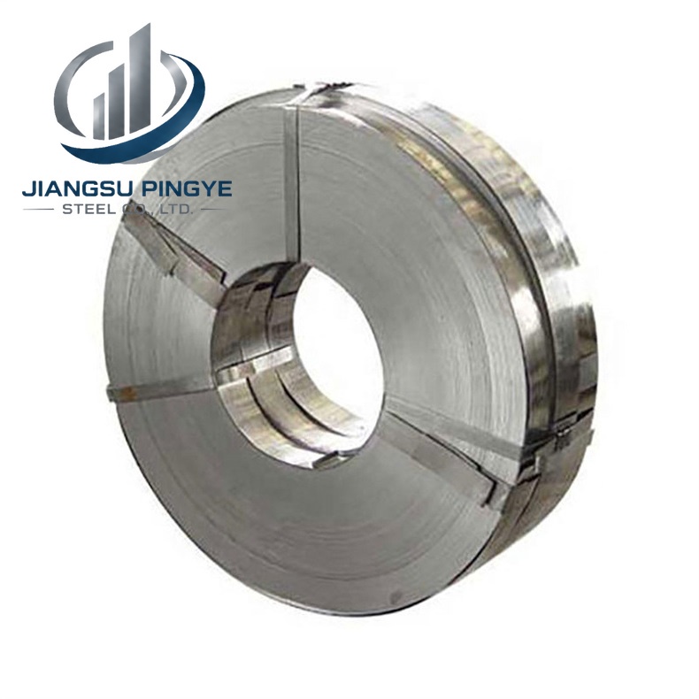 310 Stainless Strip