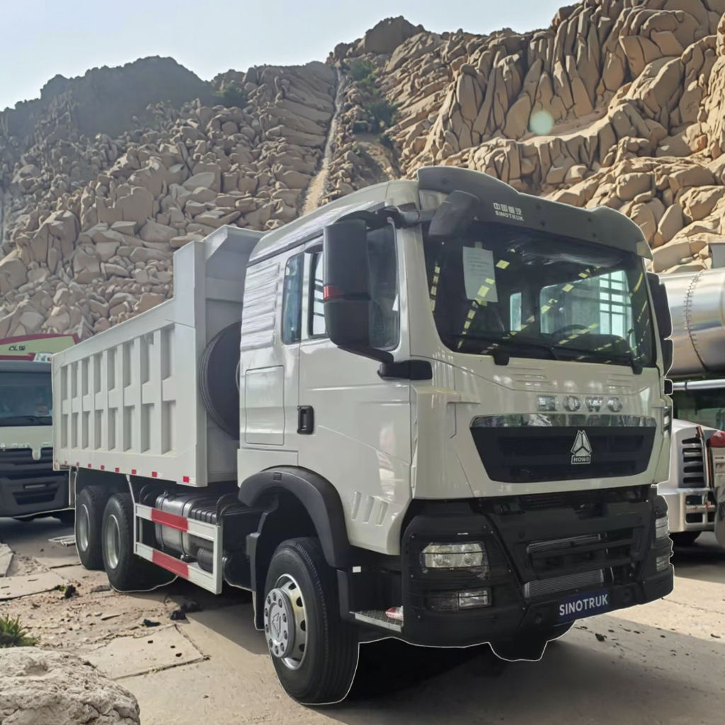 Sinotruk New and Used Howo 10-Wheel Dump Trucks for Mining