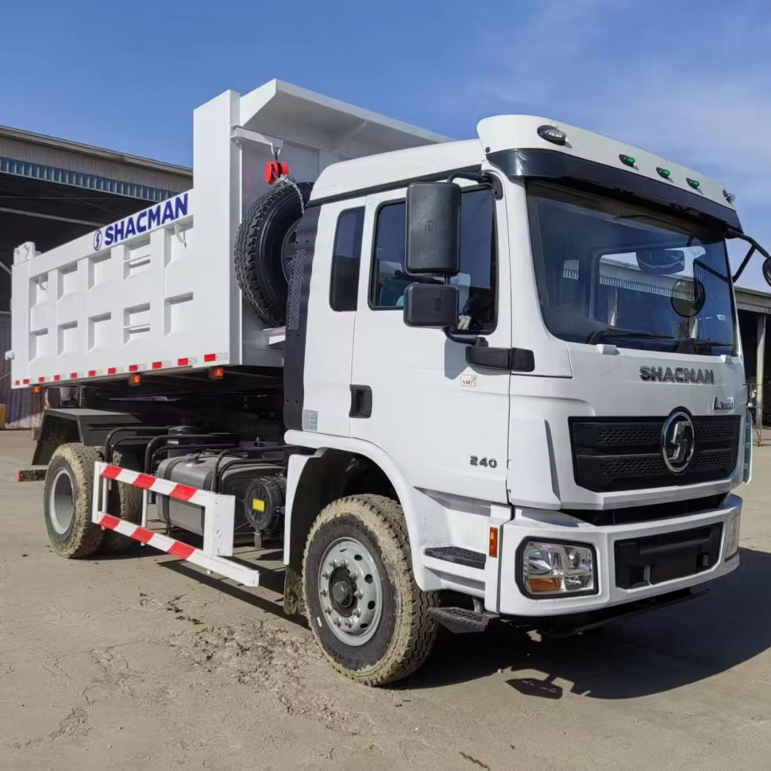 Shaanxi Automobile L3000 4x2 All-Round Highway Dump Truck with 11R22.5 Tires