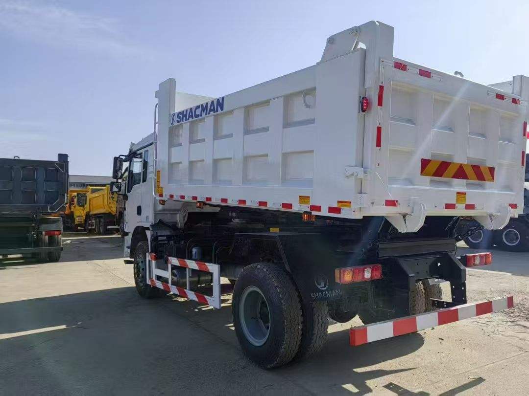 Shaanxi Automobile L3000 4x2 All-Round Highway Dump Truck with 11R22.5 Tires