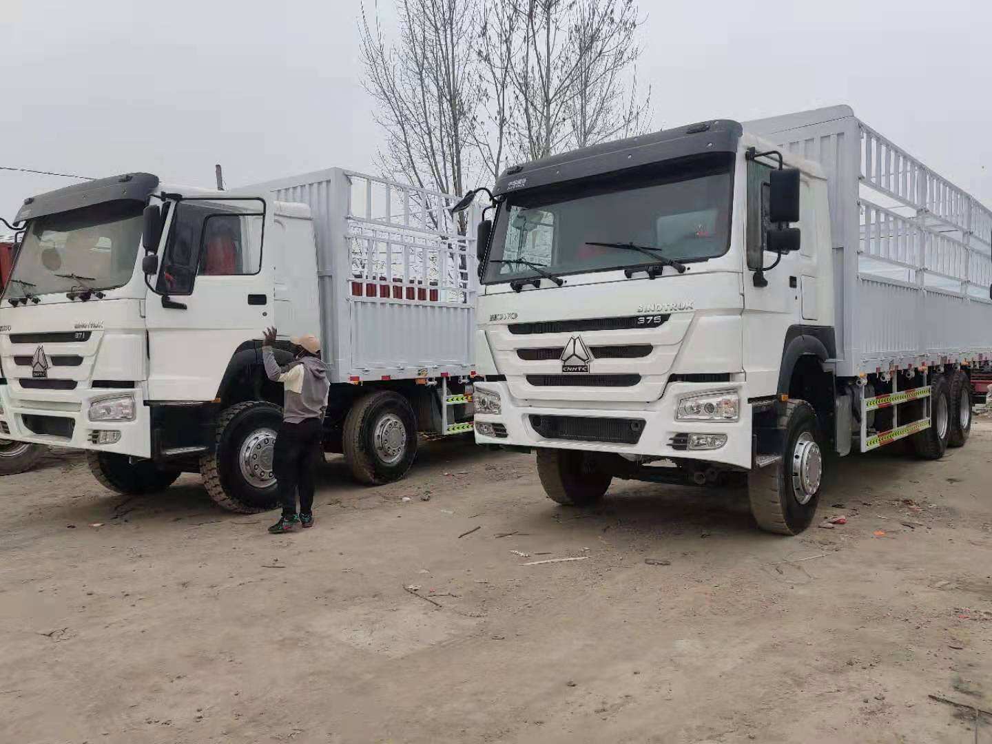 Livestock Transport Truck HOWO 6x4