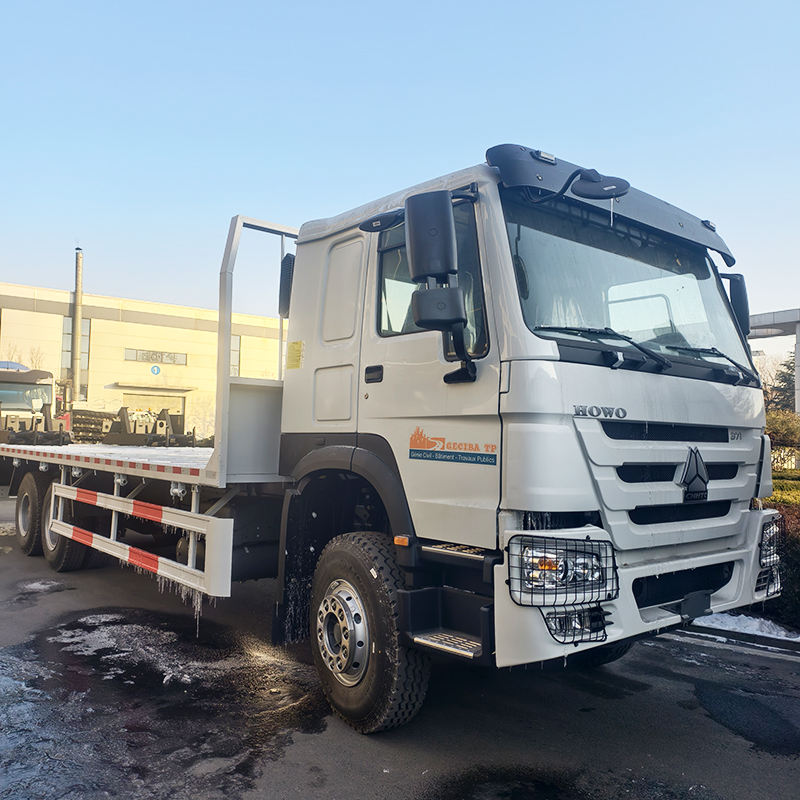 HOWO 6X4 371HP 20Ton Lorry Cargo Truck Transport 20FT Container Flatbed Truck