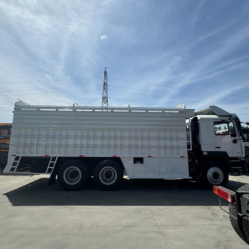 Shacman F3000 6x4 10 Wheeler Diesel Fast 380hp 430hp Cargo Fence Lorry Heavy Duty Truck