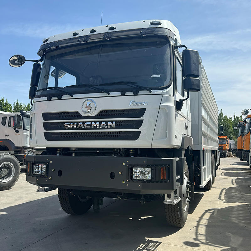 Shacman F3000 6x4 10 Wheeler Diesel Fast 380hp 430hp Cargo Fence Lorry Heavy Duty Truck