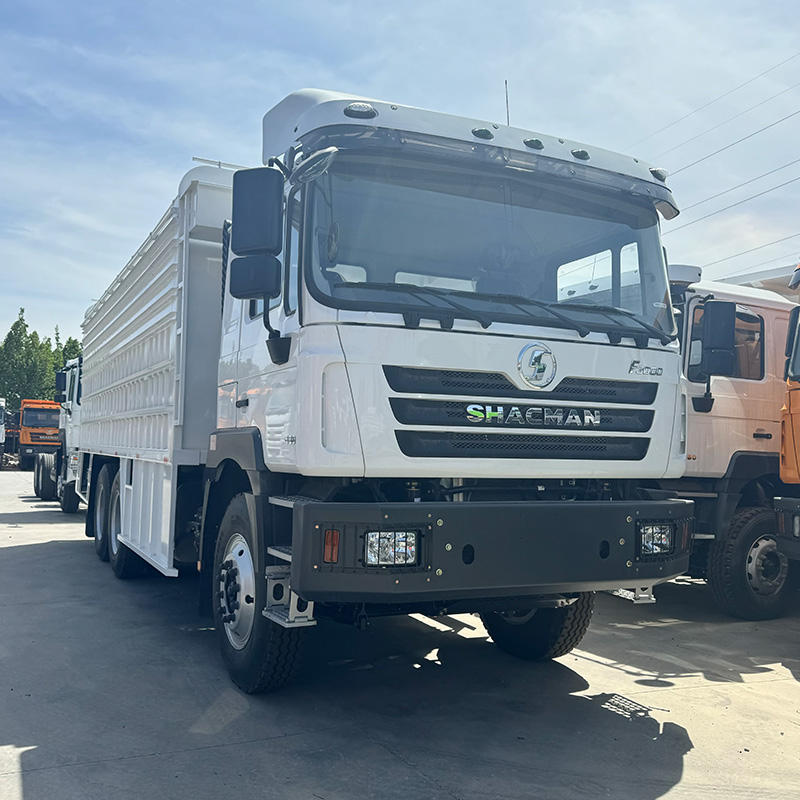 Shacman F3000 6x4 10 Wheeler Diesel Fast 380hp 430hp Cargo Fence Lorry Heavy Duty Truck