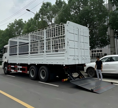 SHACMAN H3000 8*4 Cargo Truck with Fence
