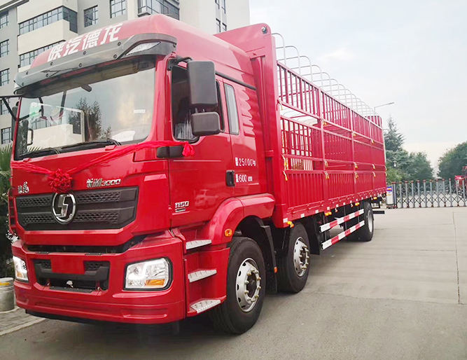 30 Ton SHACMAN M3000 Fence Cargo Truck with Hydraulic Lift Plate