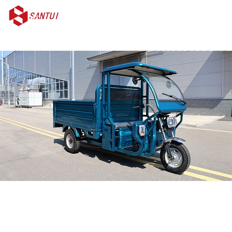 New Cargo 3-Wheeled Electric Trike 1500W 60V Household Transport Open Body