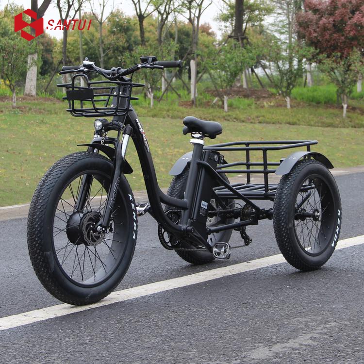 Electric tricycle / Pedal-powered electric tricycle