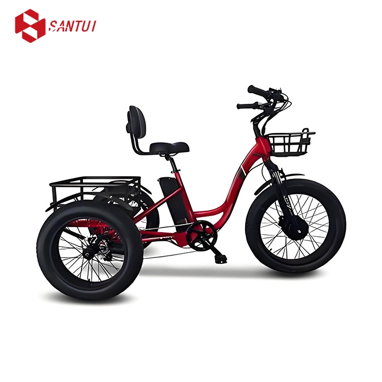 Electric tricycle / Pedal-powered electric tricycle