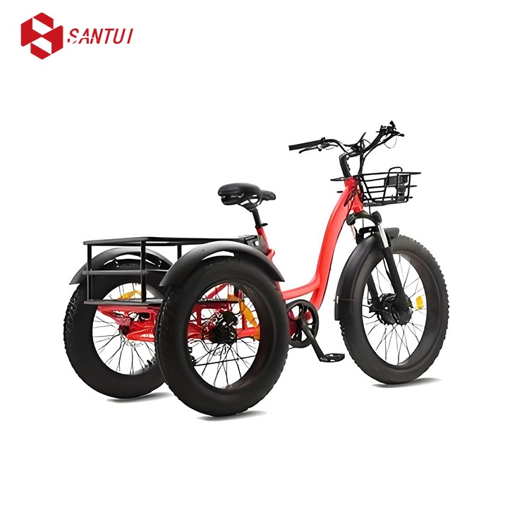 Electric tricycle / Pedal-powered electric tricycle