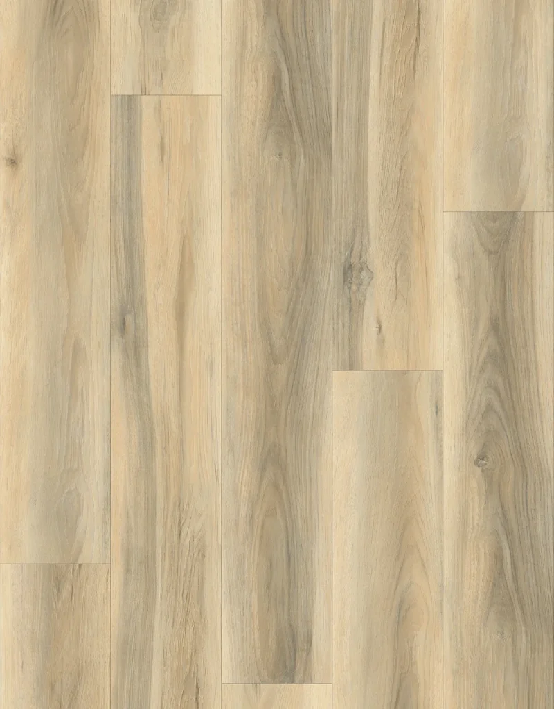 Sand Oak | D-06