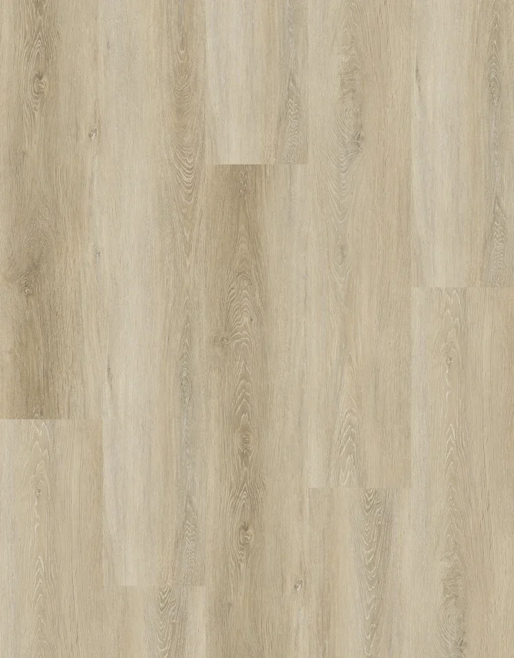 Pale Ale | RS8903