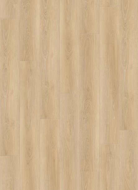 Larch