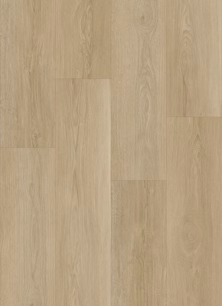 Cedar