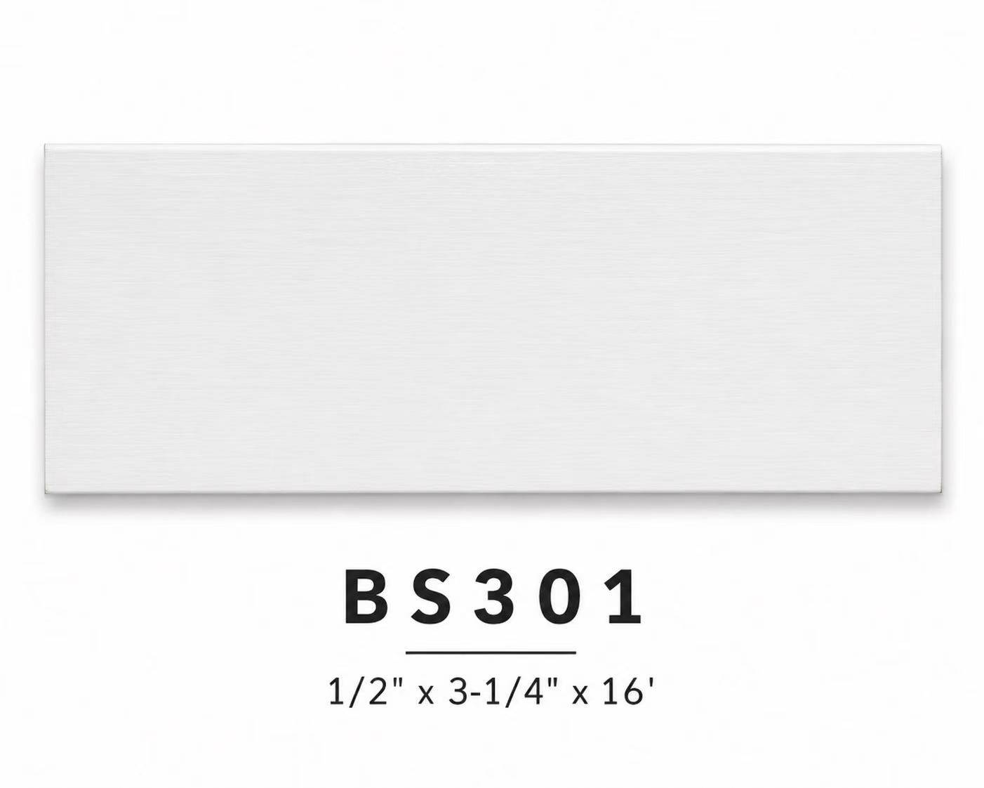 BS301