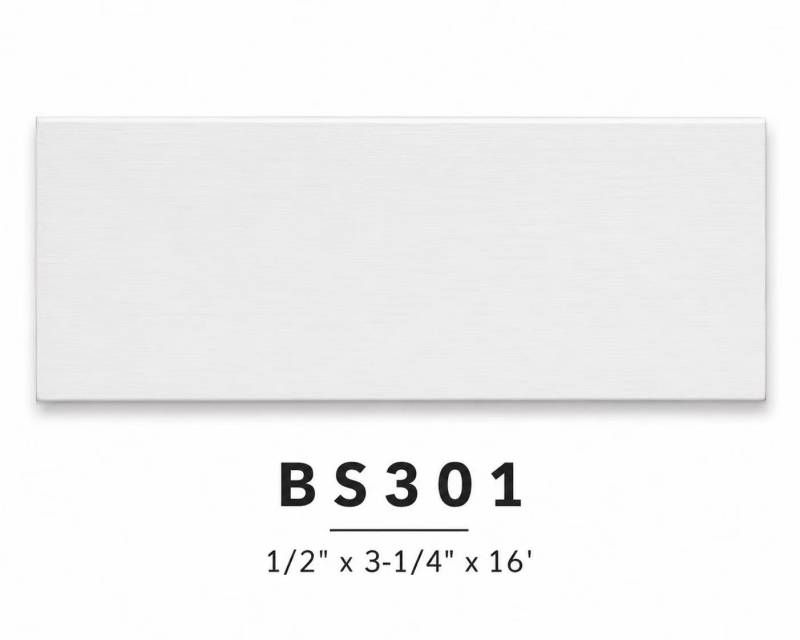BS301