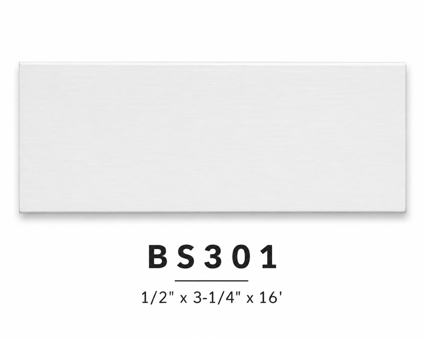 BS301