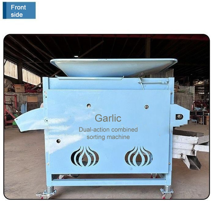 Garlic Segmented Screening Integrated Machine-3