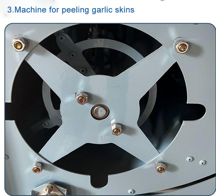 Garlic Segmented Screening Integrated Machine-4