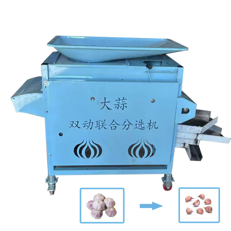 Garlic Segmented Screening Integrated Machine-2