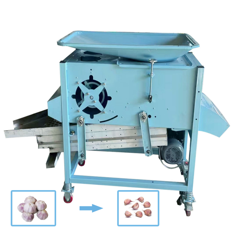 Garlic Segmented Screening Integrated Machine-5