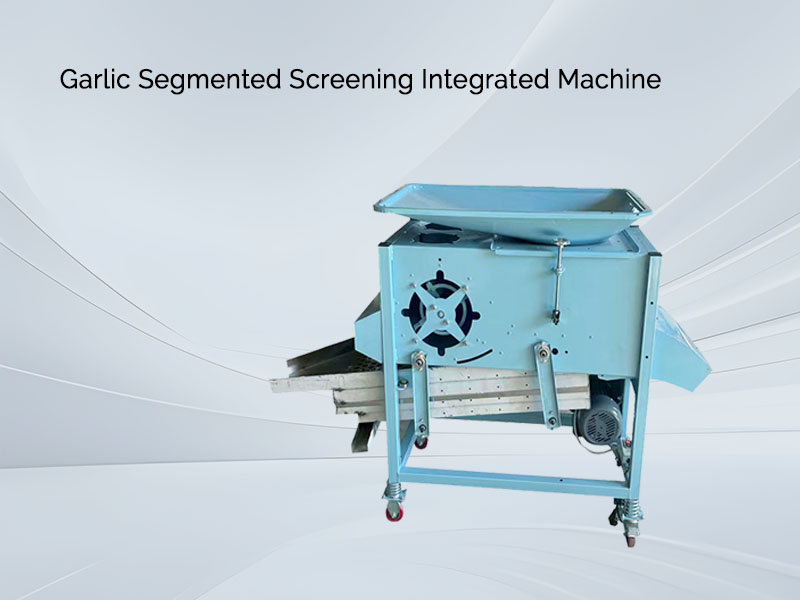 Garlic Segmented Screening Integrated Machine