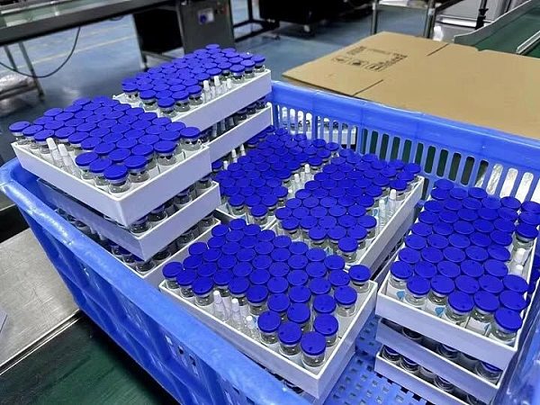 WhatsApp Image 2026-02-04 at 3.51.24 PM (5)