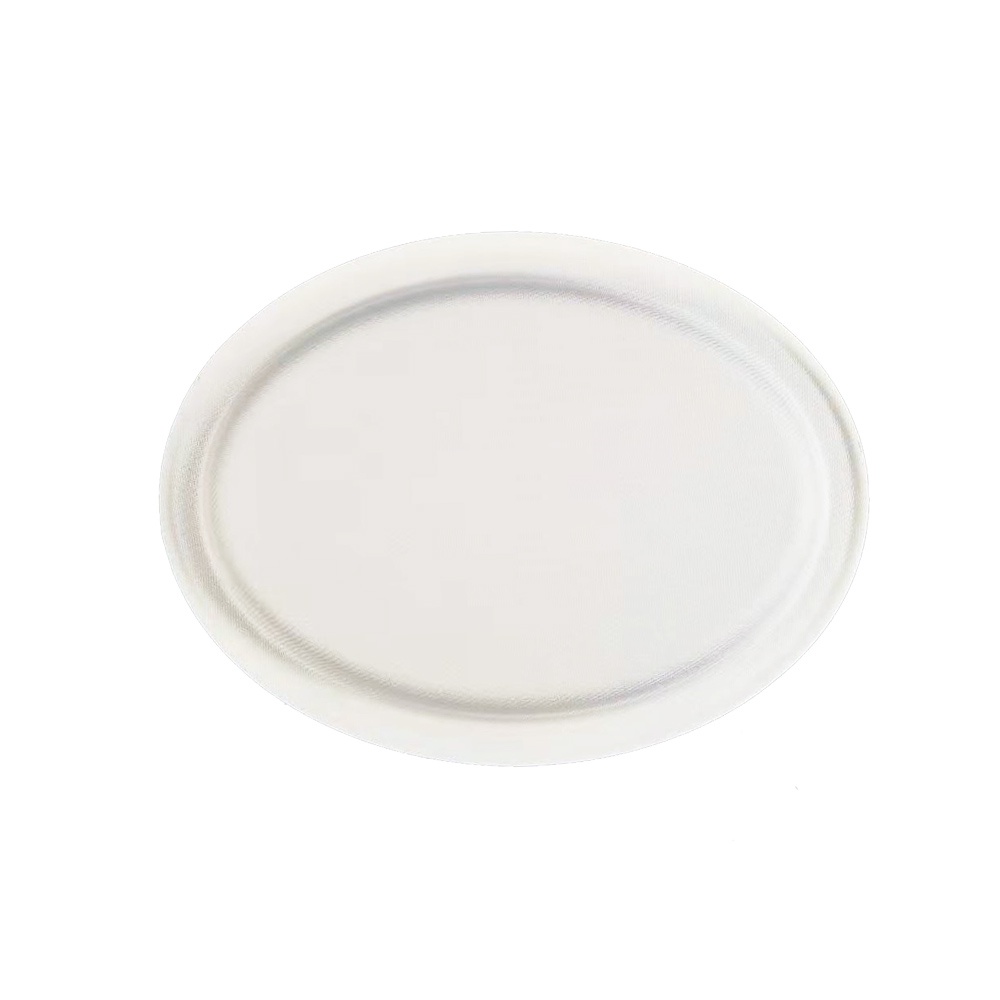 Sugarcane Bagasse Plate