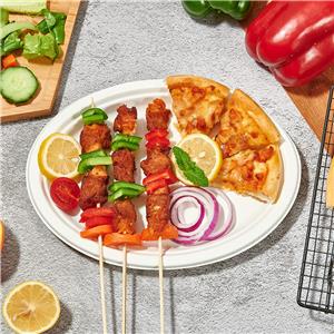 Sugarcane Bagasse Plate