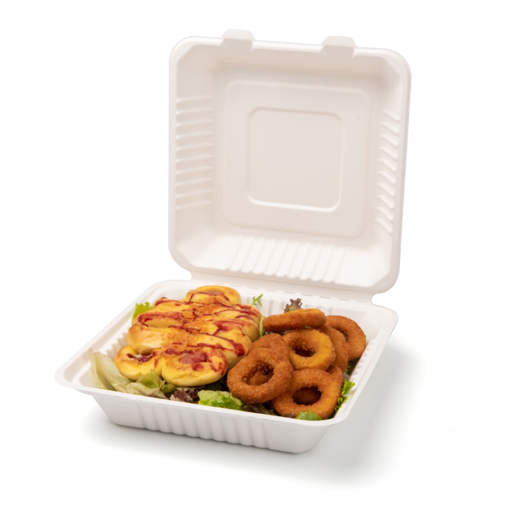 Biodegradable Sugarcane Bagasse Food Packaging Boxes
