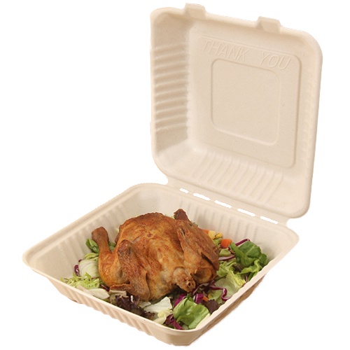 Biodegradable Sugarcane Bagasse Food Packaging Boxes