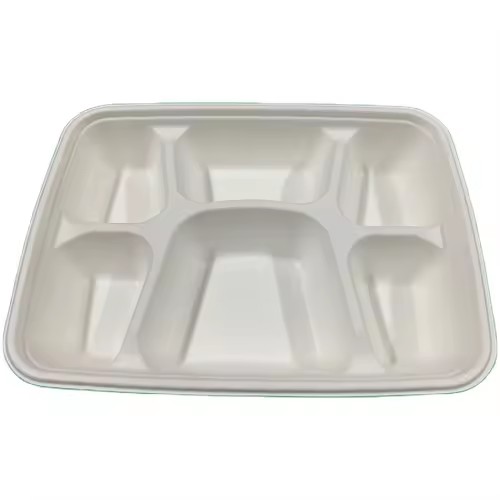 Biodegradable Sugarcane Bagasse Paper Tray