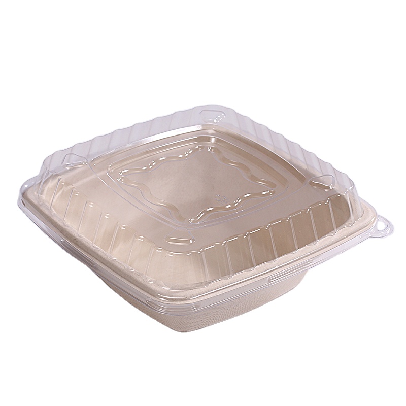 Sugarcane Bagasse Square Paper Bowl