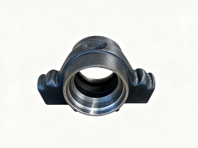 Balance shaft housing