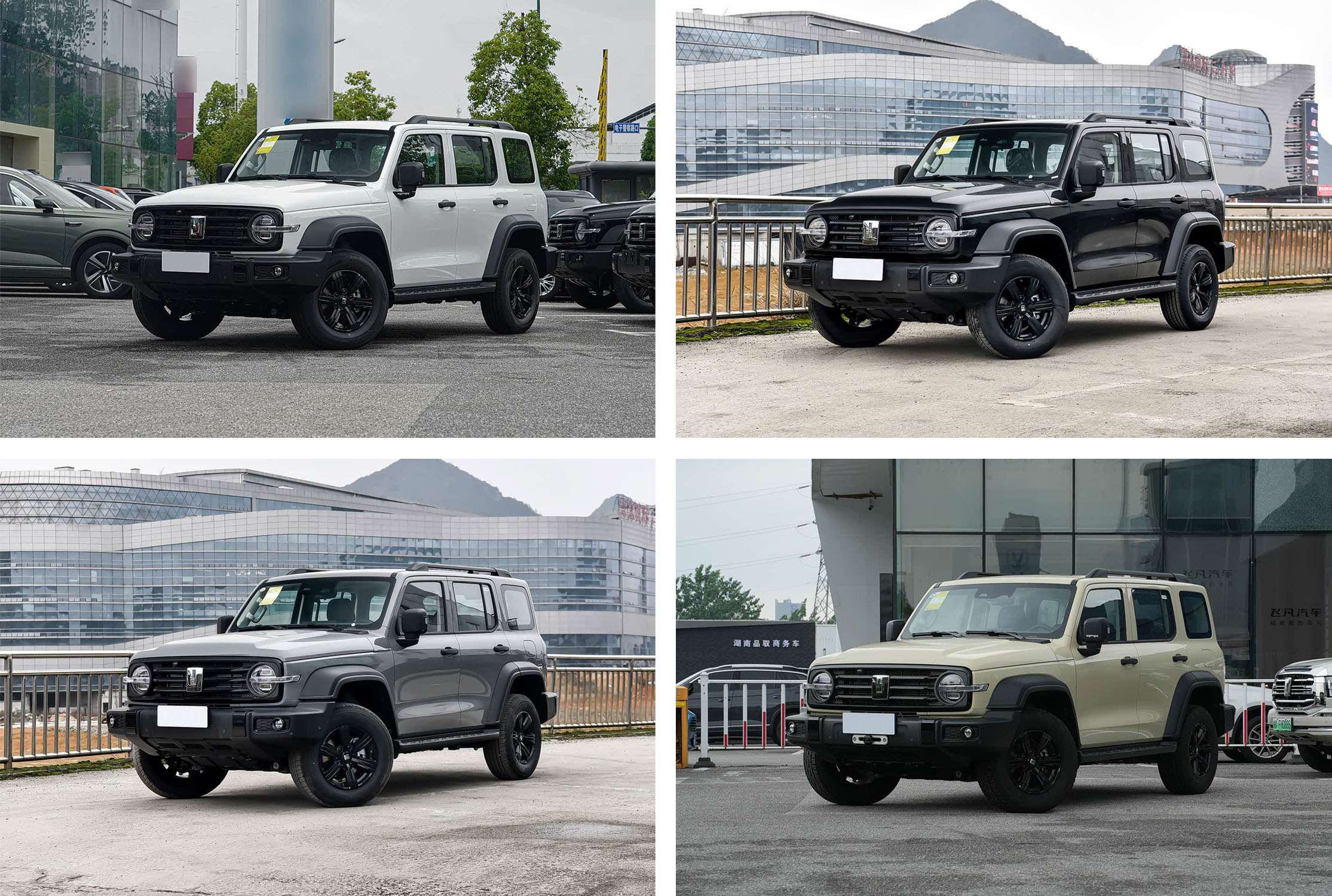 坦克300 2025款2.4T柴油版 米