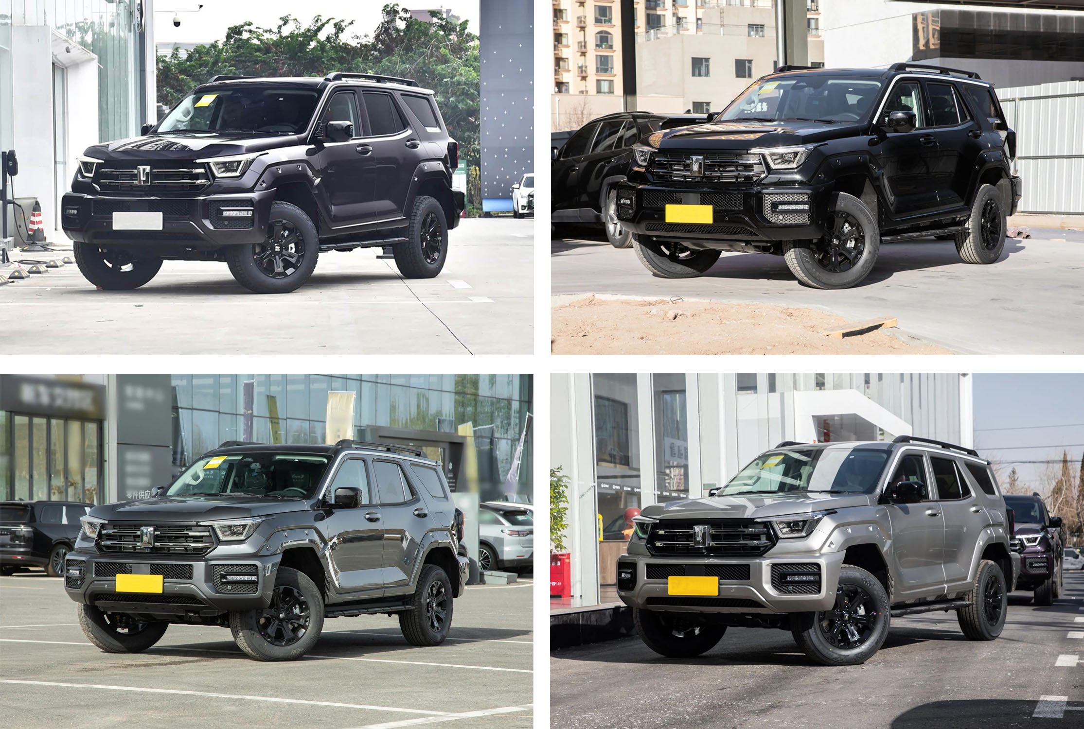 坦克400 2026款2.0T汽油版 紫