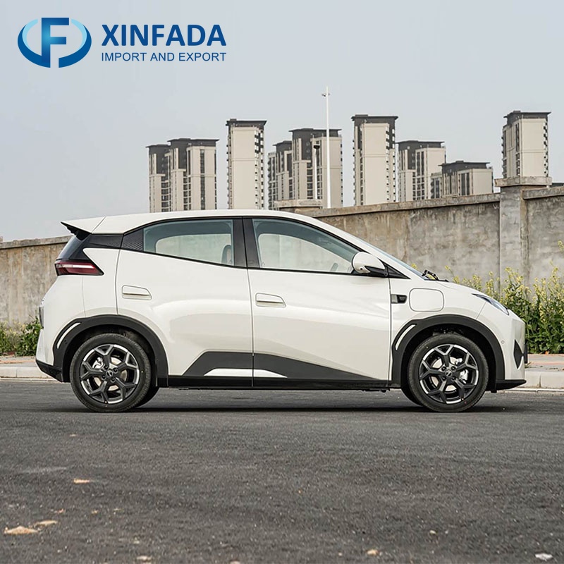 BYD Seagull/ATTO 1/Dolphin Mini 2025 305KM