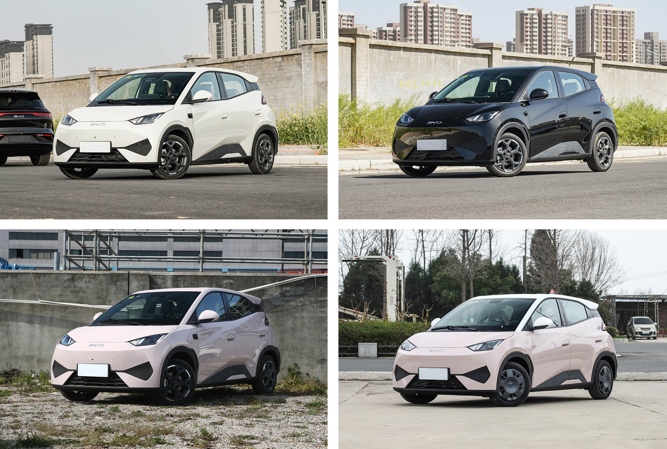 比亚迪 海鸥2025款智驾版305KM自由版 绿