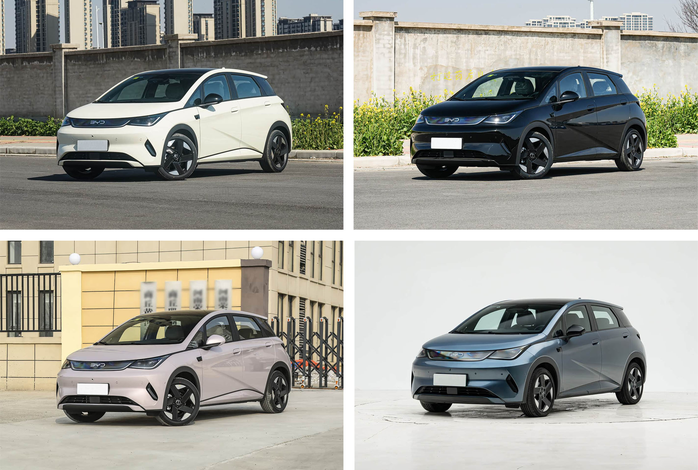 比亚迪 海豚2025款智驾版520KM骑士版 灰蓝