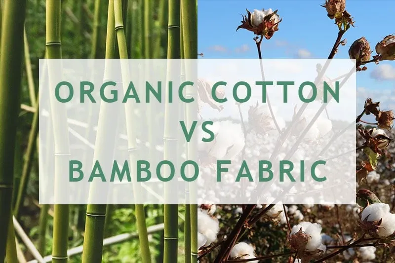 Organic Cotton VS Bamboo Fabric: Which is the Best Option?