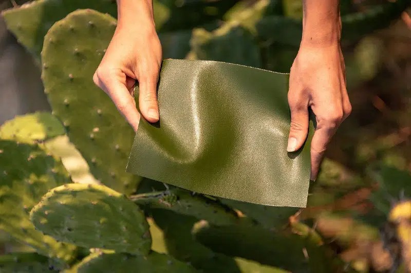 企业微信截图_17727806223230 Cactus Leather: A Complete Guide to Natural Vegan Leather