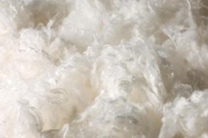 企业微信截图_17703441134626