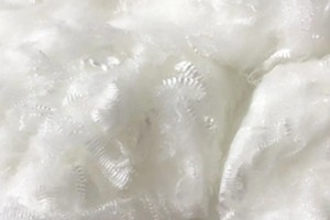 企业微信截图_17703441205043