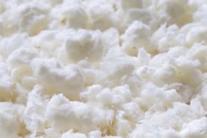 企业微信截图_1770344141334