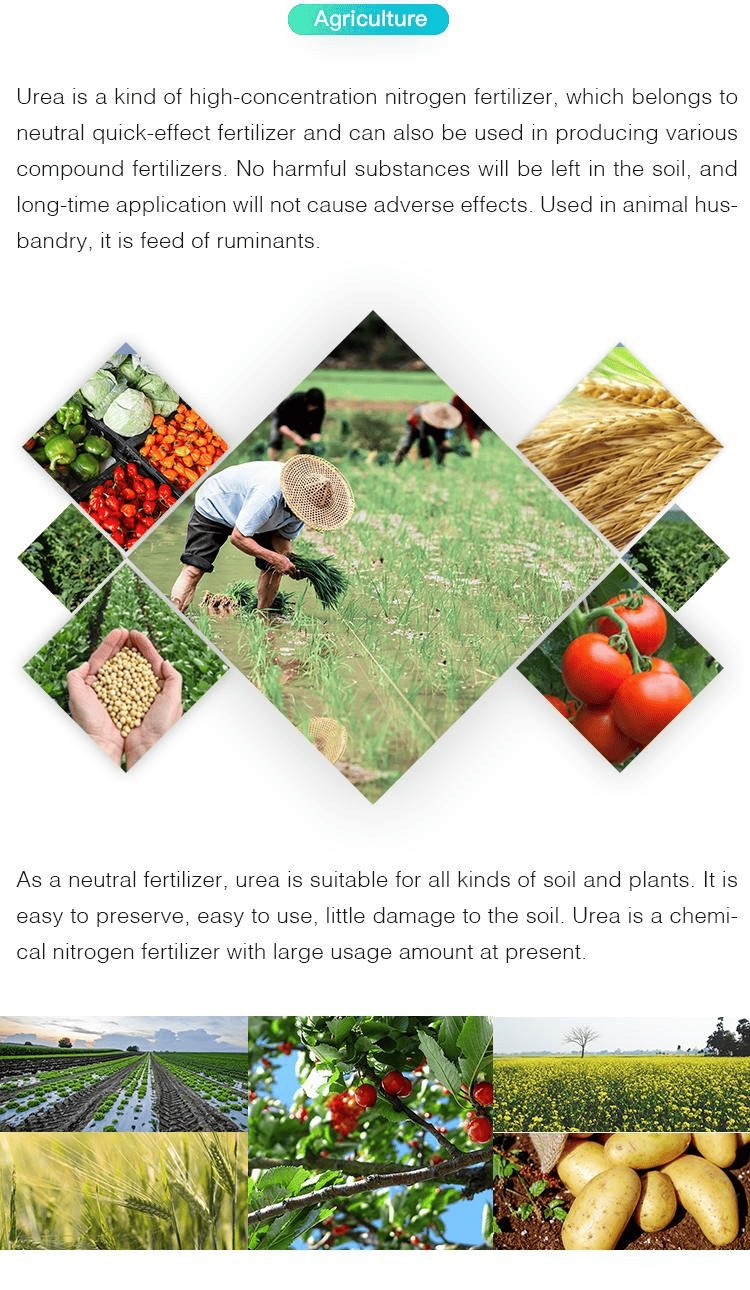 Automotive-Urea-N46-DAP-Fertilizer-Urea-Prilled-Sop-Potassium-Sulphate (2).png